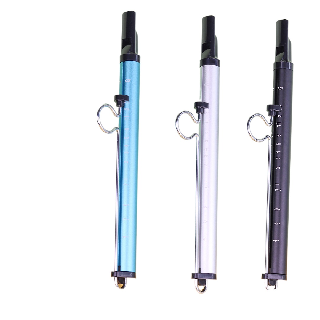 Musical Instrument Piccolo - Musikinstrument Rutsche Pfeife Spielzeug Blasflöte Kinder