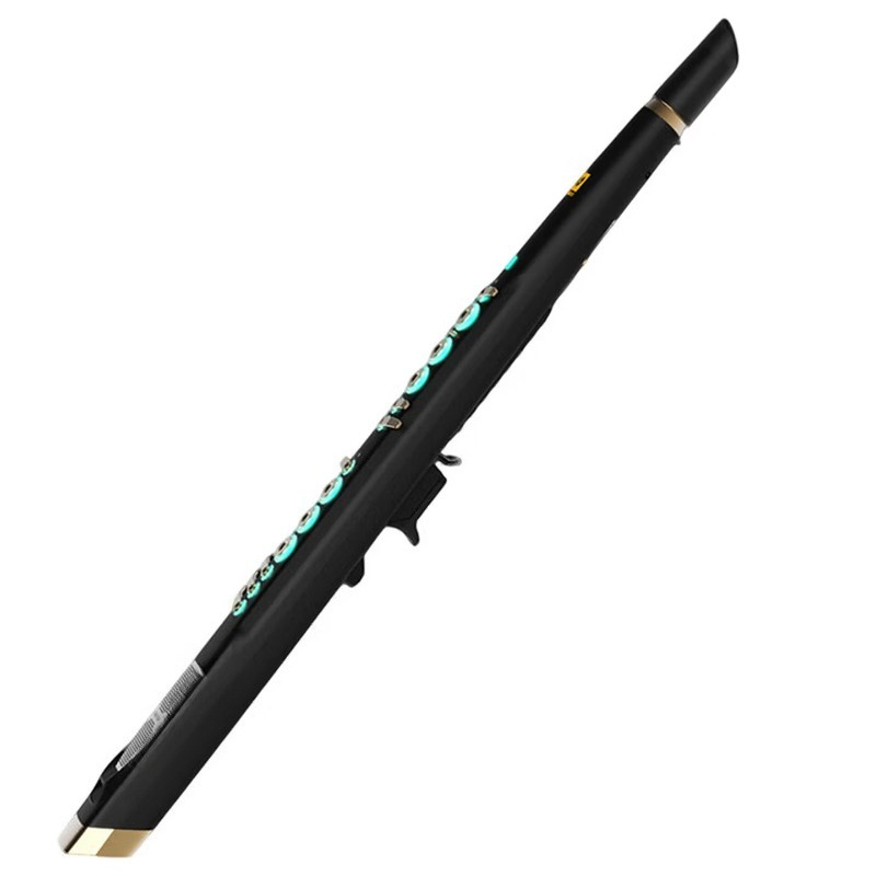 C20 True-Sampling-Instrument f – Musical Instrument You Blow Bewertung und Preis
