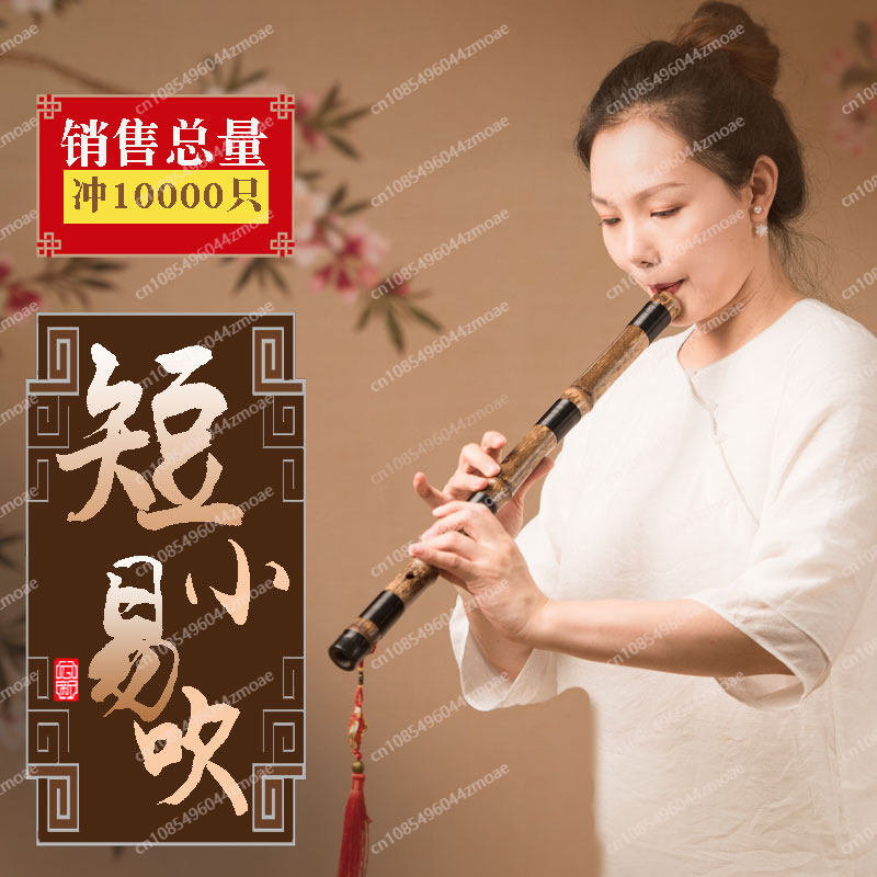 Professionelle Spielflöte aus  – Musical Instrument You Blow Bewertung und Preis