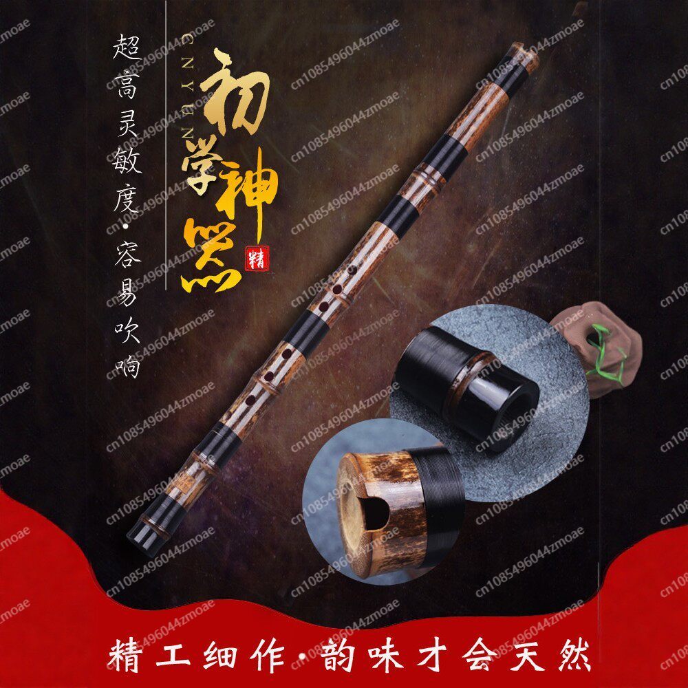 Professionelle Spielflöte aus  – Musical Instrument You Blow Bewertung und Preis