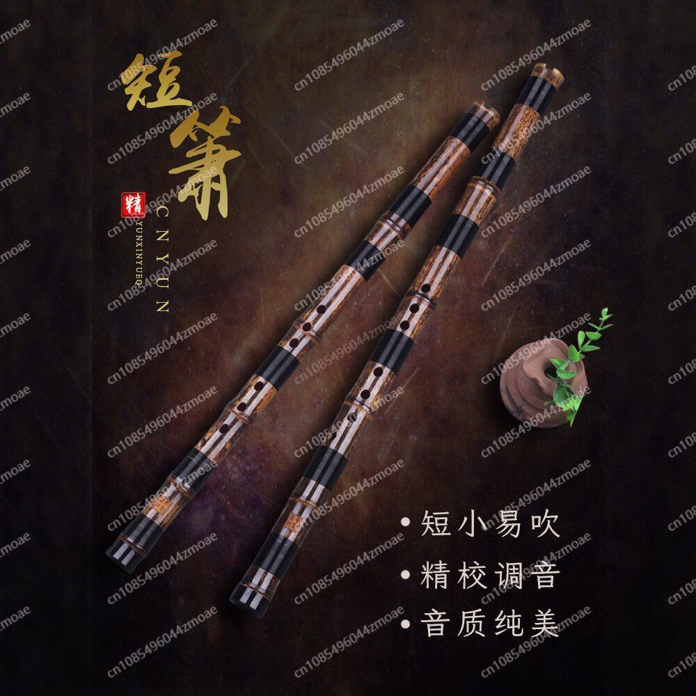 Professionelle Spielflöte aus  – Musical Instrument You Blow Bewertung und Preis