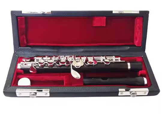 Ebenholz-Piccolo mit versilber – Musical Instrument Piccolo Bewertung und Preis