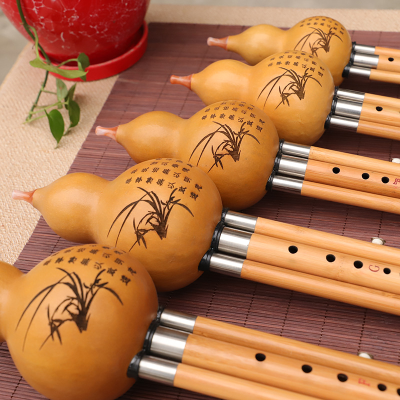 Nanzhu Kürbis-Seiden-Musikinst – Musical Instrument You Blow Bewertung und Preis