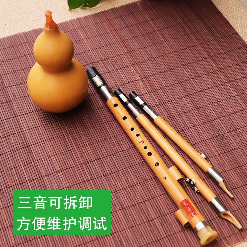 Nanzhu Kürbis-Seiden-Musikinst – Musical Instrument You Blow Bewertung und Preis