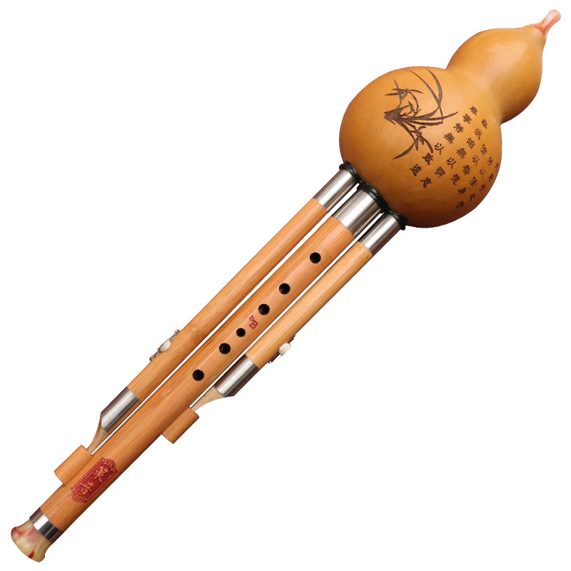 Nanzhu Kürbis-Seiden-Musikinst – Musical Instrument You Blow Bewertung und Preis