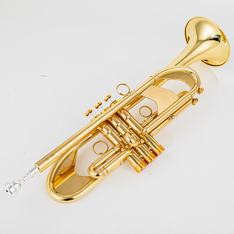 Vincent BACH 700B-Trompete B,  – Musical Instrument Fagot Bewertung und Preis